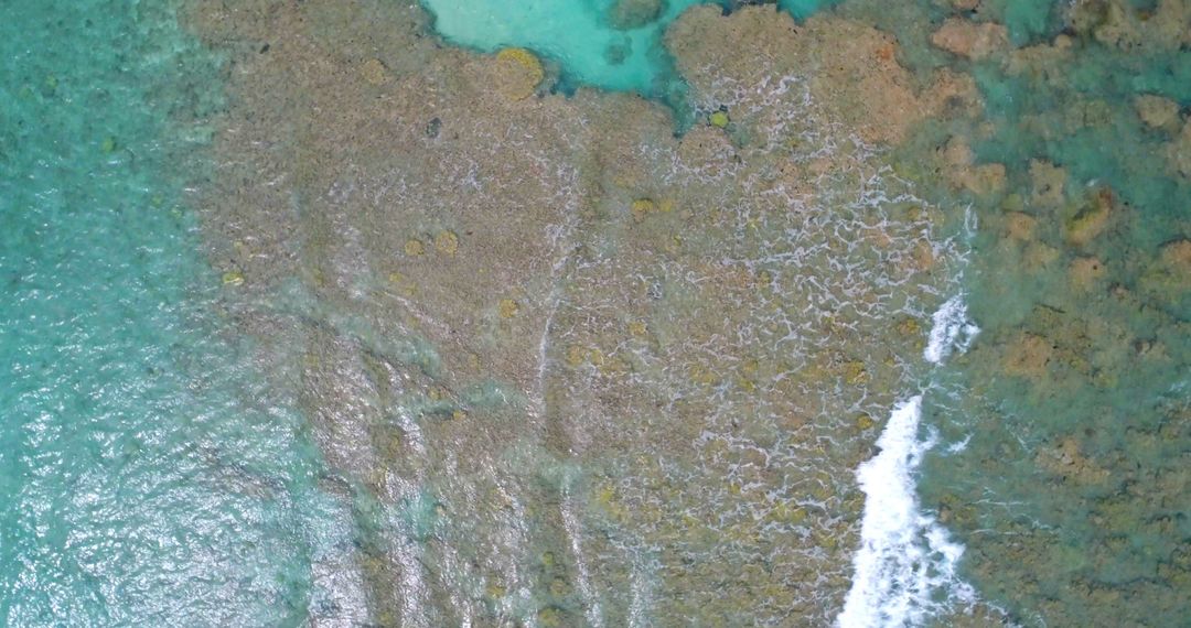 Aerial View of Coral Reef in Clear Blue Ocean - Free Images, Stock Photos and Pictures on Pikwizard.com