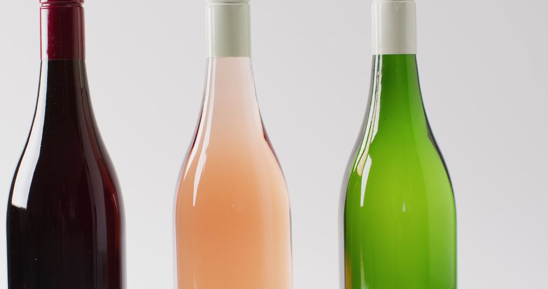 Assorted Wine Bottles Displaying Variety of Flavors