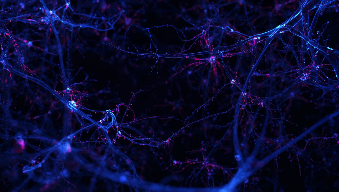Glowing Filament Network with Luminescent Nodal Clusters