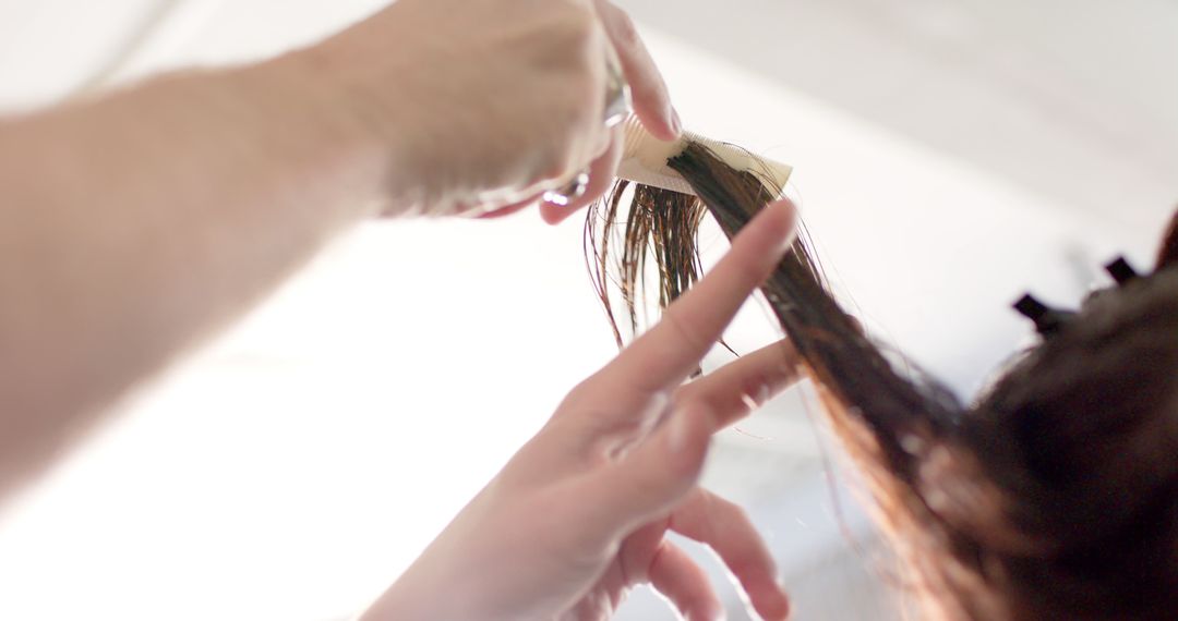 Hairdresser Highlighting Woman's Hair in Salon - Free Images, Stock Photos and Pictures on Pikwizard.com