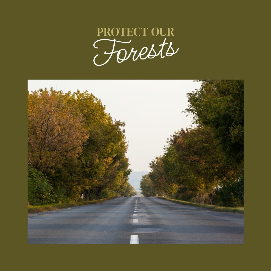 Scenic Forest Road with Conservation Message