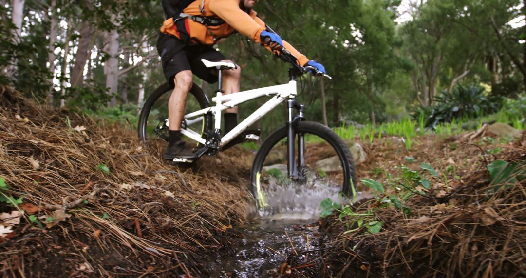 Mountain Biker Crossing Stream in Forest - Free Images, Stock Photos and Pictures on Pikwizard.com