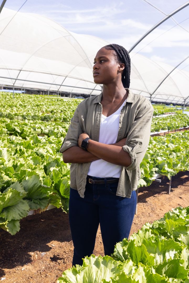 Confident Female Farmer Overseeing Greenhouse Lettuce Crops