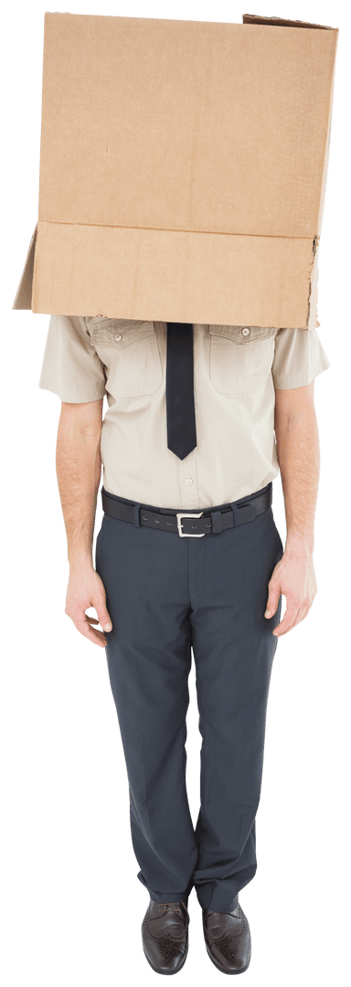 Businessman with Box on Head Isolated on Transparent Background