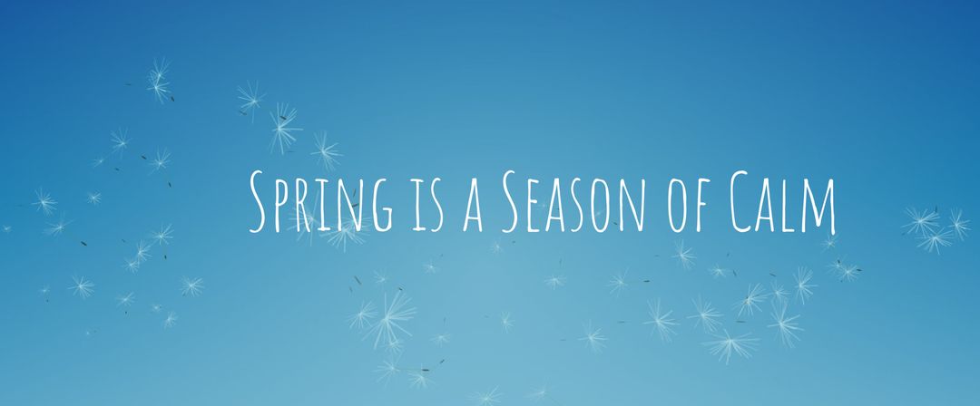 Dandelion Seeds Drifting on Serene Blue Sky Background