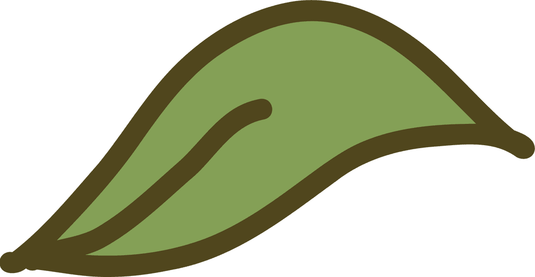 Stylized Leaf Illustration with Dark Brown Outline, Transparent Background