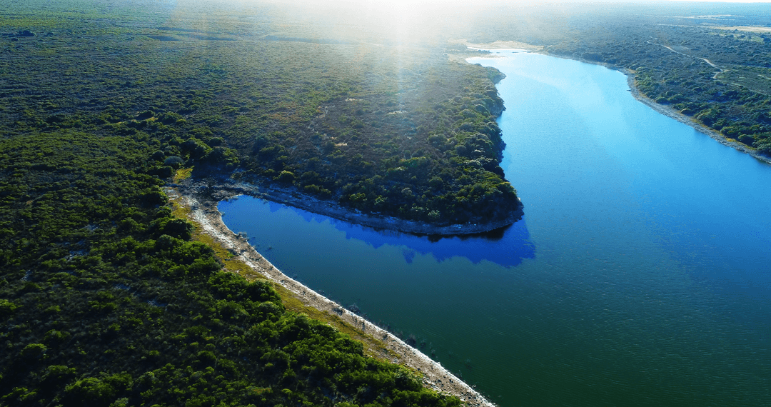 Transparent River Winding Through Verdant Landscape on Bright Day