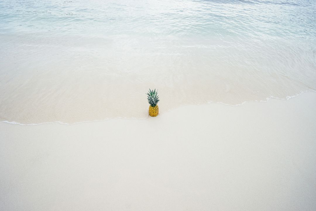 Single Pineapple Standing on Pristine White Sand Shore with Gentle Turquoise Waves