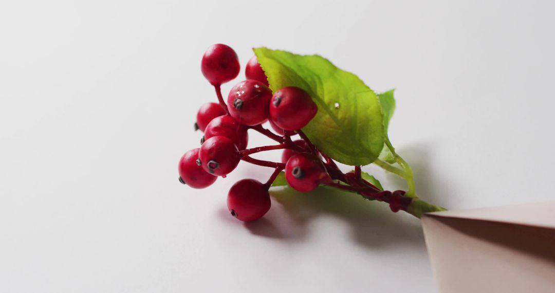 Glossy red berry cluster resting on white background with green leaf and beige envelope