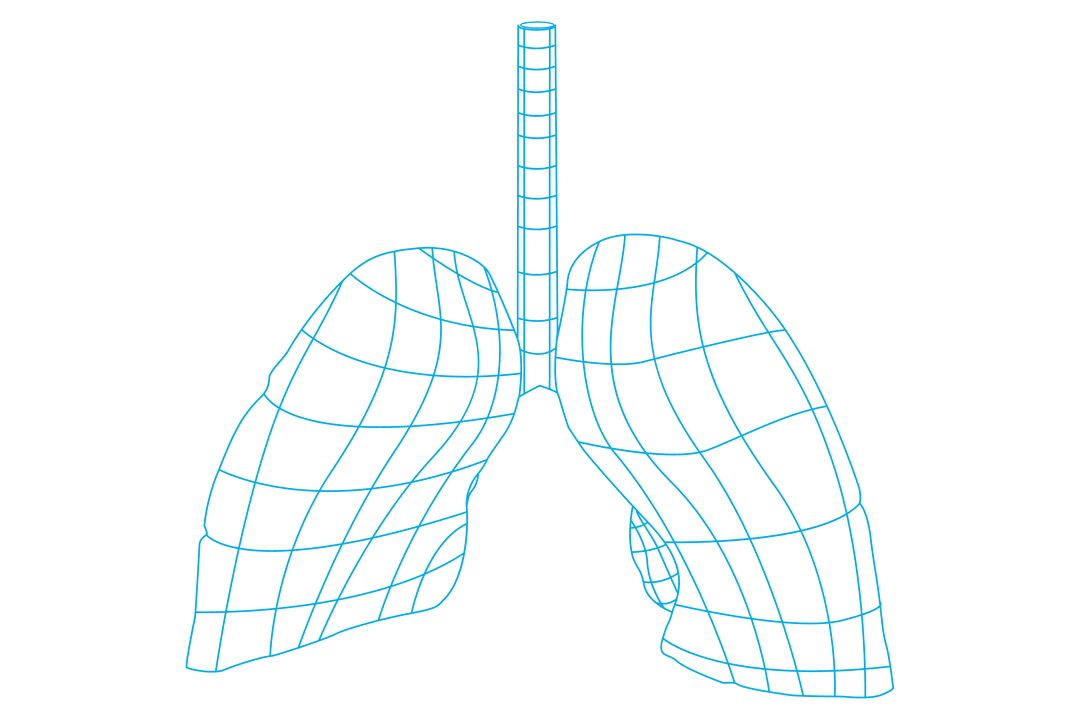 Digital Illustration of Blue Lungs on Transparent Background
