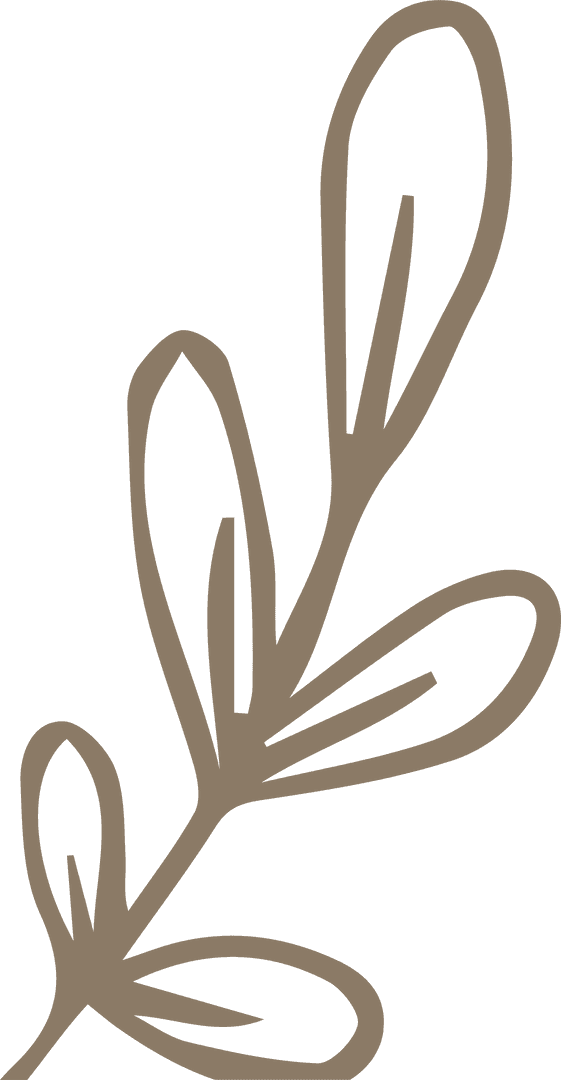 Minimalist Botanical Line Art Illustration on Transparent Background