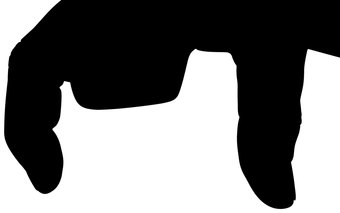 Transparent Silhouette of Hands Holding