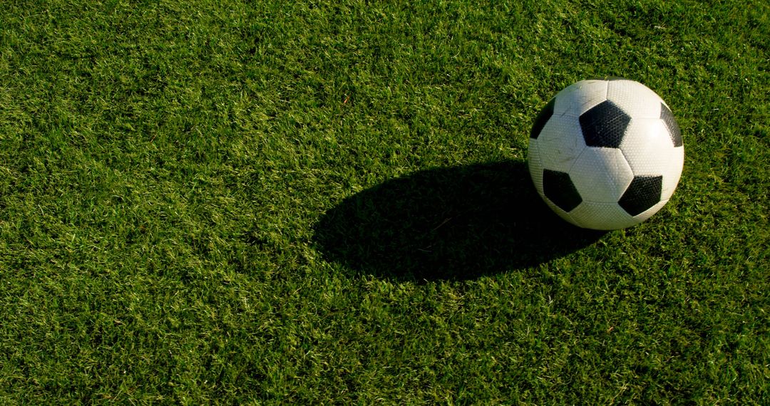 Soccer ball rests on a lush green field, with copy space - Free Images, Stock Photos and Pictures on Pikwizard.com