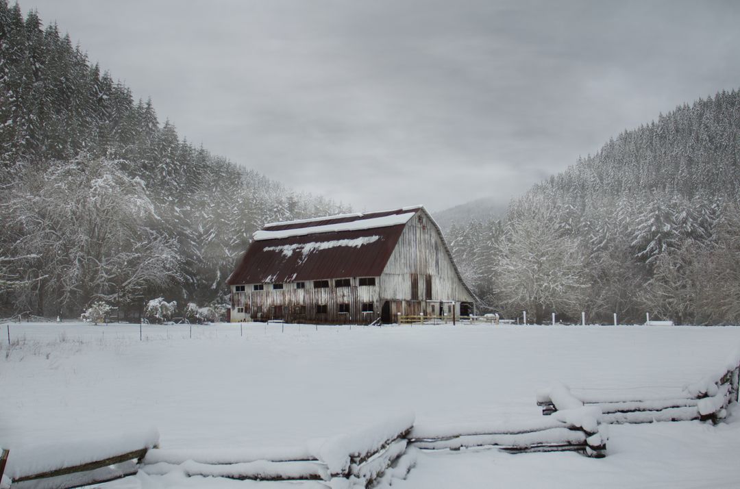 Rustic Barn Surrounded by Snowfall in Winter Landscape