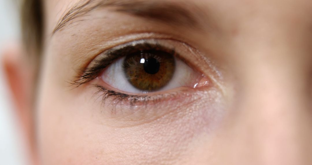 Close-Up of Brown Eye with Detailed Iris and Eyelashes - Free Images, Stock Photos and Pictures on Pikwizard.com