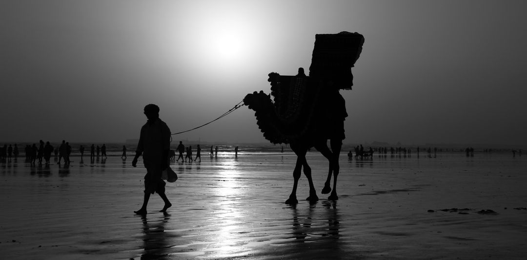 Silhouette of Man Leading Camel on Beach at Sunet - Free Images, Stock Photos and Pictures on Pikwizard.com