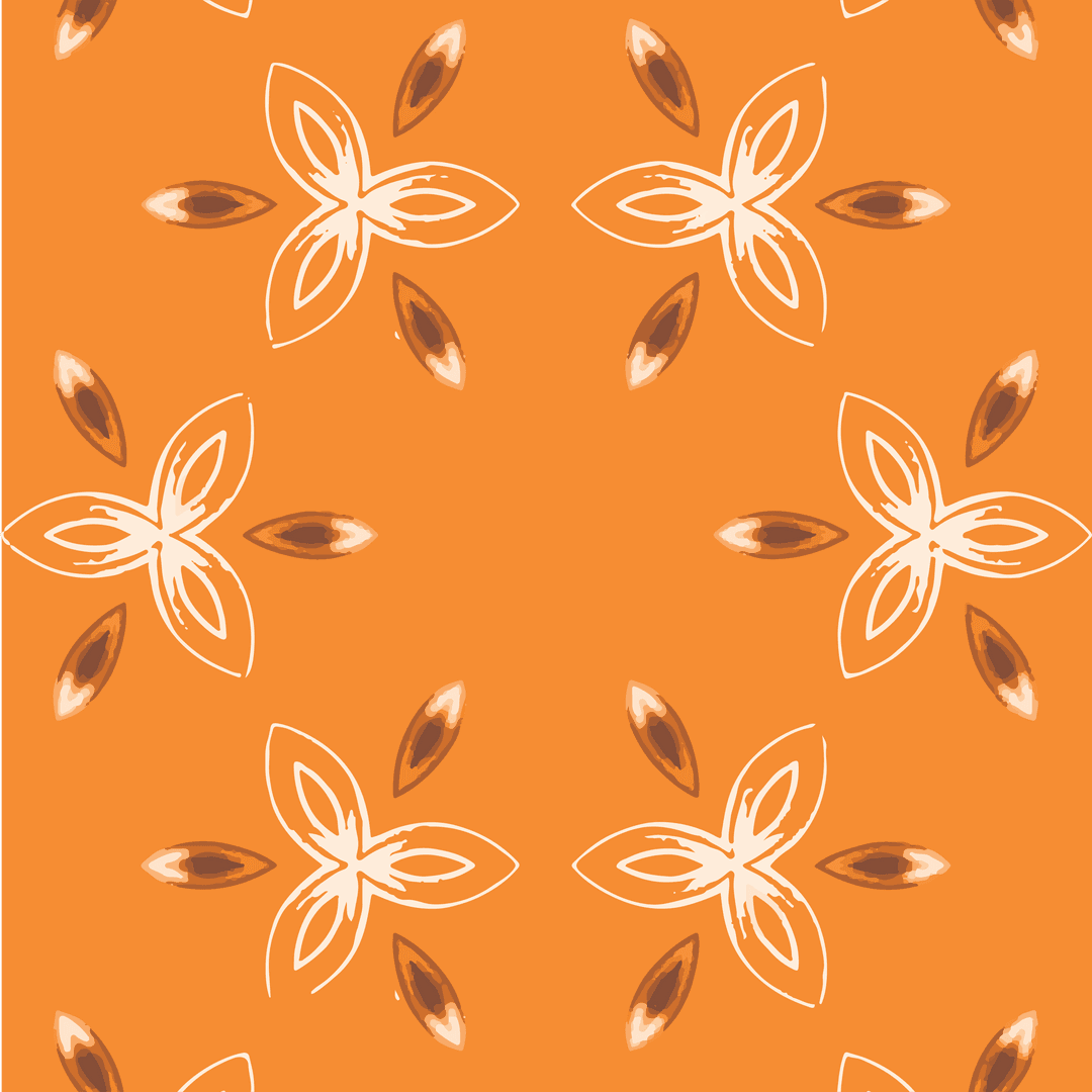 Abstract Orange Petal Motifs With Transparent Background