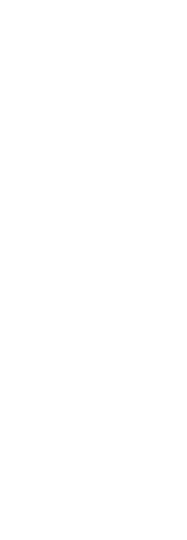 Transparent Silhouette of Hand Holding White Flag, Vector Image - Download Free Stock Images Pikwizard.com