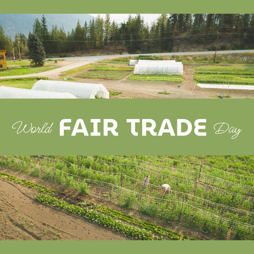 Fair Trade Farming Grounds with Greenhouses