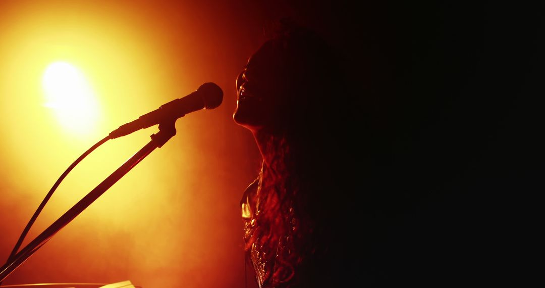 A silhouette of an African American female singer performing on stage, with copy space - Free Images, Stock Photos and Pictures on Pikwizard.com