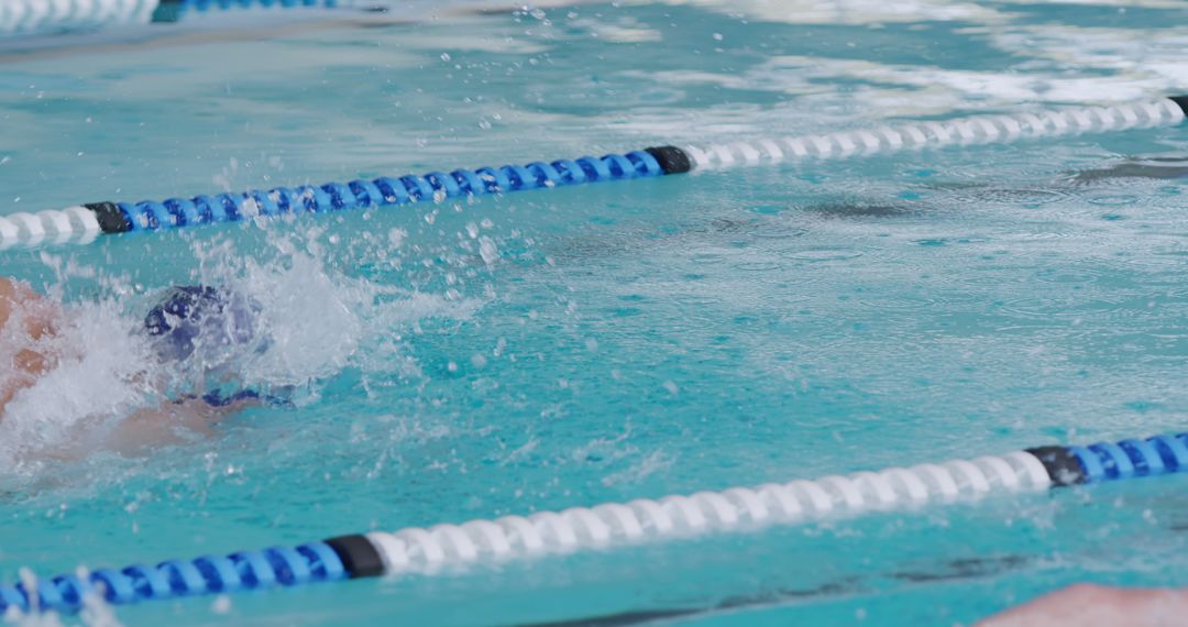 Swimming Race Competitor in Action in Pool - Free Images, Stock Photos and Pictures on Pikwizard.com