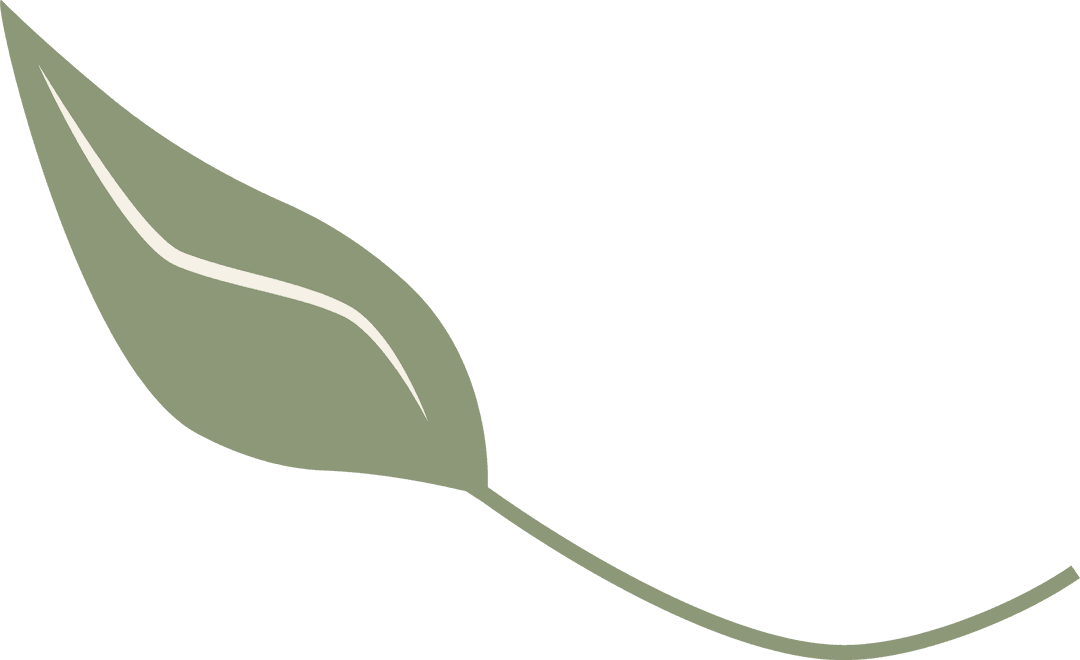 Minimalist Sage Green Leaf Floating on Transparent Background