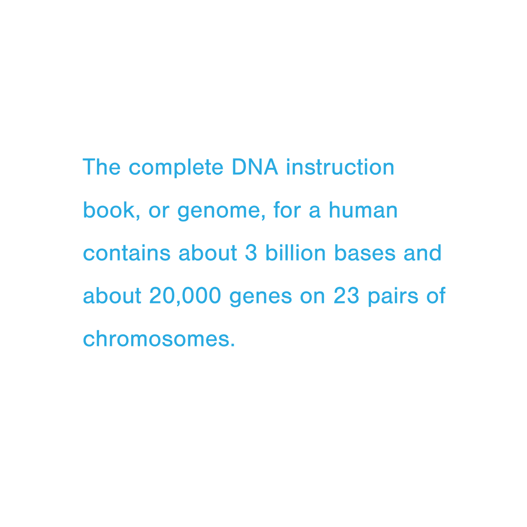 Transparent DNA Genome Text on Chromosome Studies