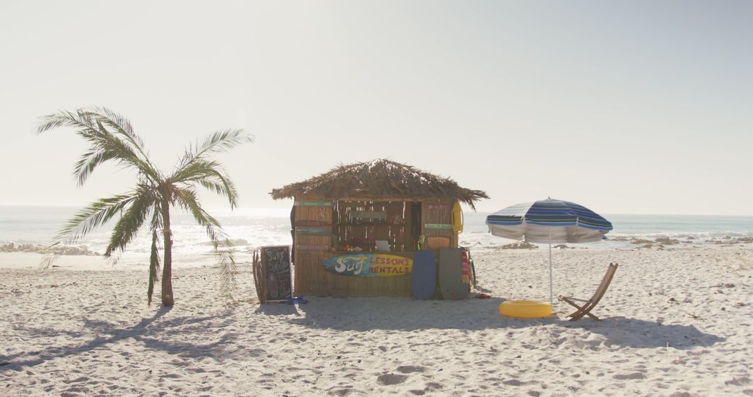 Tropical Beach Rental Hut with Palm Trees and Umbrellas - Free Images, Stock Photos and Pictures on Pikwizard.com