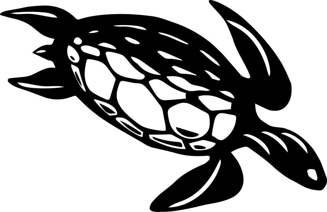 Transparent Stylized Aquatic Sea Turtle Icon Illustration