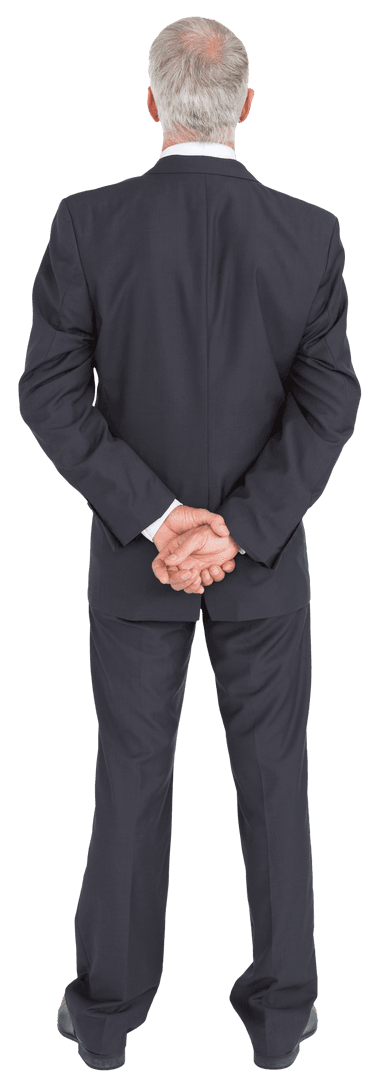 Business Professional Standing Transparently from Behind