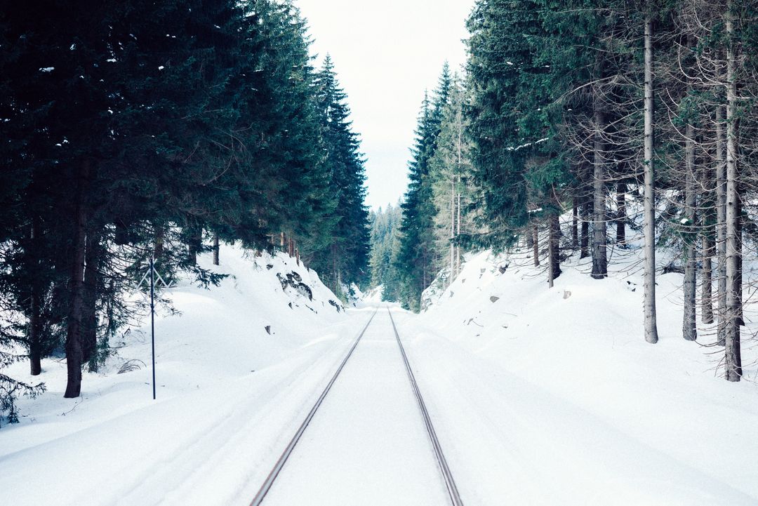 Snow Covered Railway Track in Wintery Forest Landscape - Free Images, Stock Photos and Pictures on Pikwizard.com