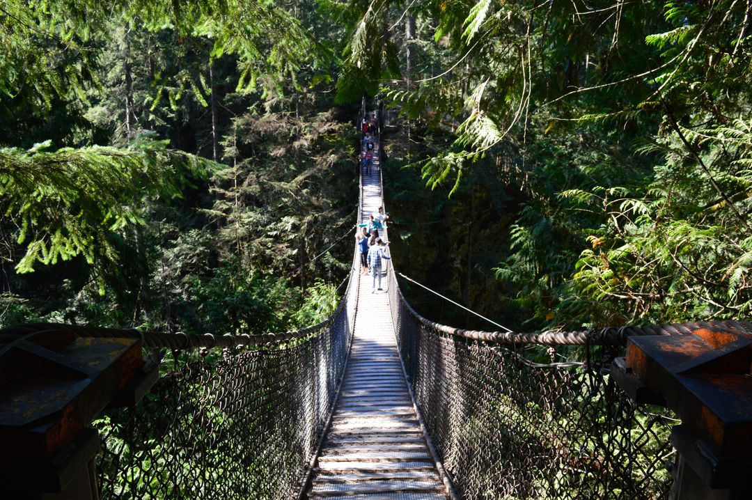 Bridge Suspension bridge Structure - Free Images, Stock Photos and Pictures on Pikwizard.com