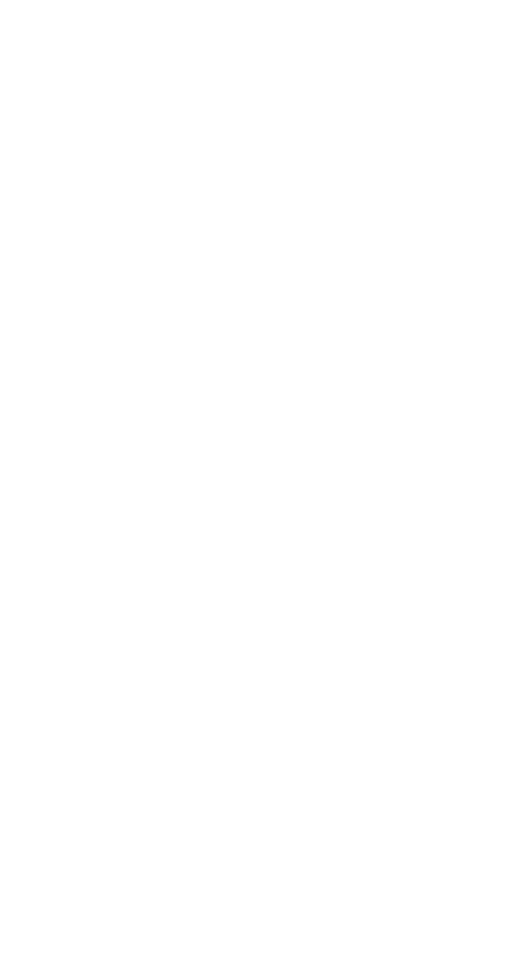 American Football Player Running Transparent Silhouette - Download Free Stock Images Pikwizard.com