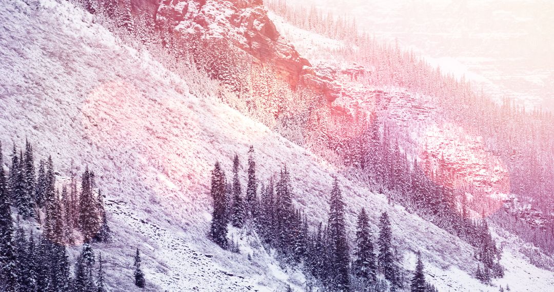 Winter Mountain Landscape with Snowy Fir Trees