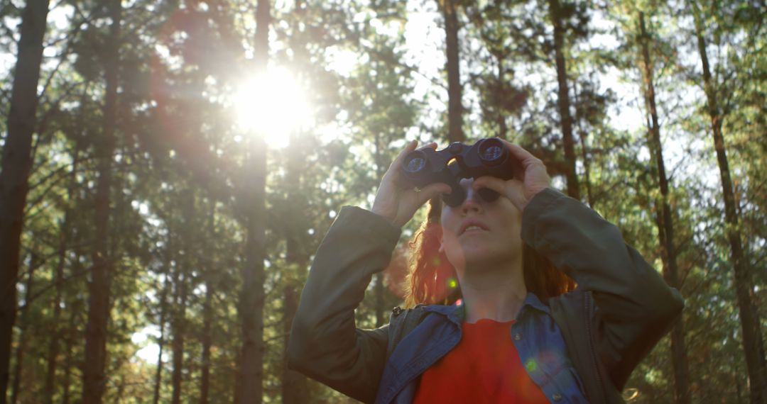 Woman Birdwatching with Binoculars in Forest During Sunny Day - Free Images, Stock Photos and Pictures on Pikwizard.com