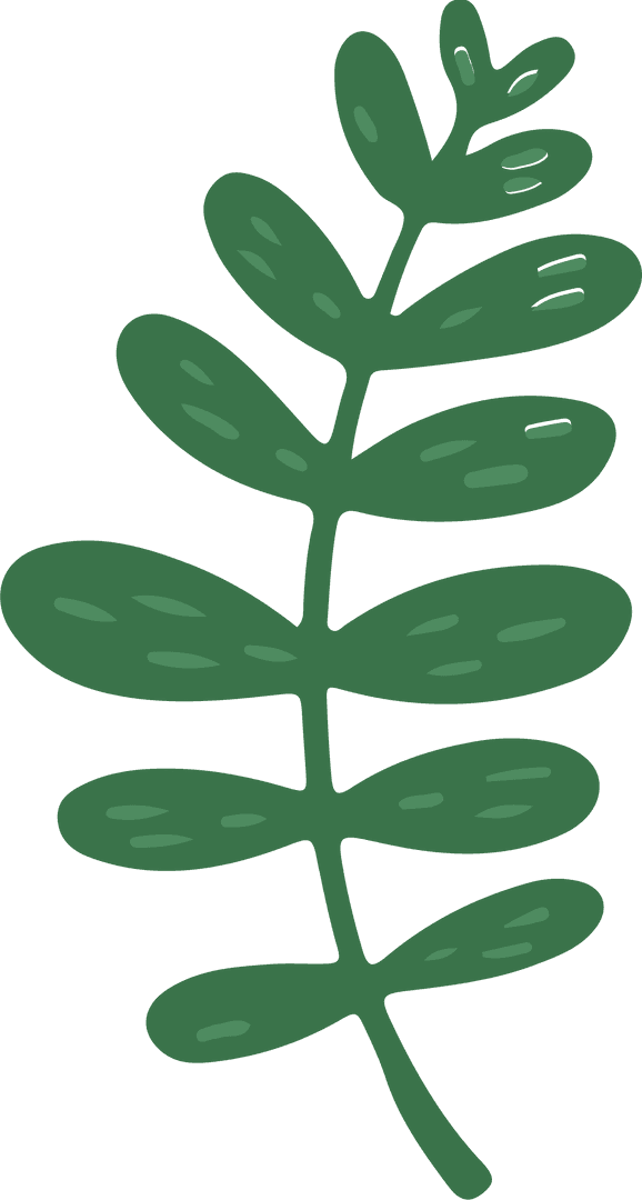 Greenery Botanical Illustration with Transparent Background