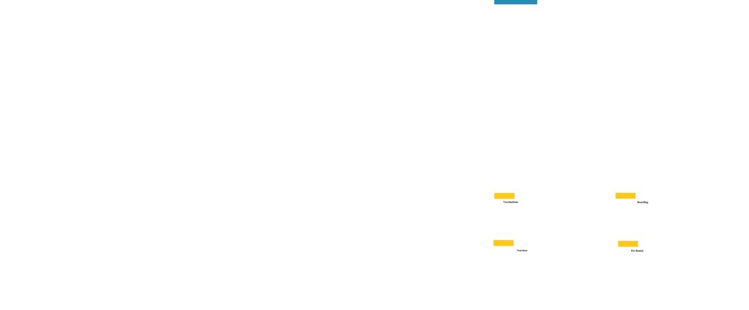 Dedicated veterinarian providing optimal care for happy pet dog