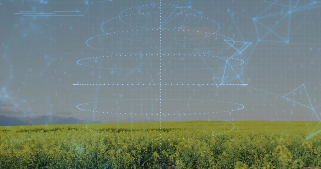 Canola Field with Futuristic Blue Data Overlay Visualization for Precision Agriculture and AgTech