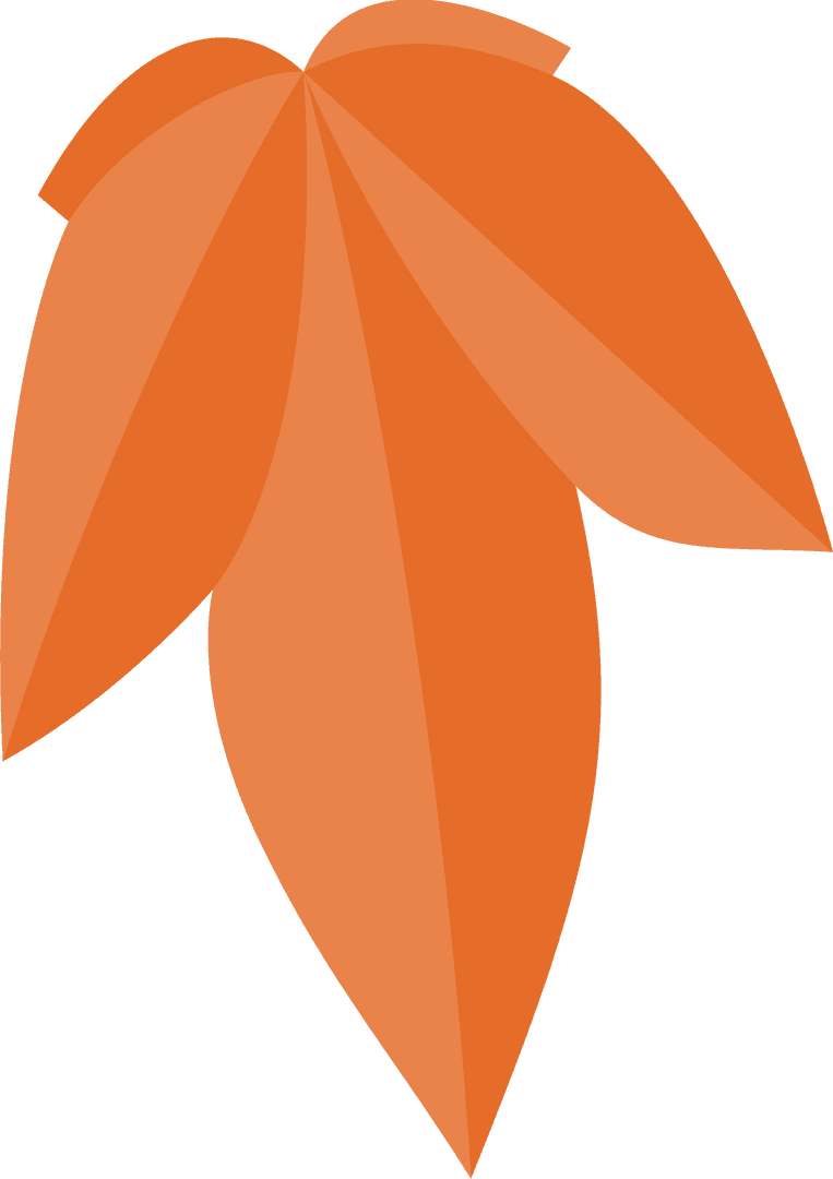 Abstract Orange Petals Radiating Pattern on Transparent Background