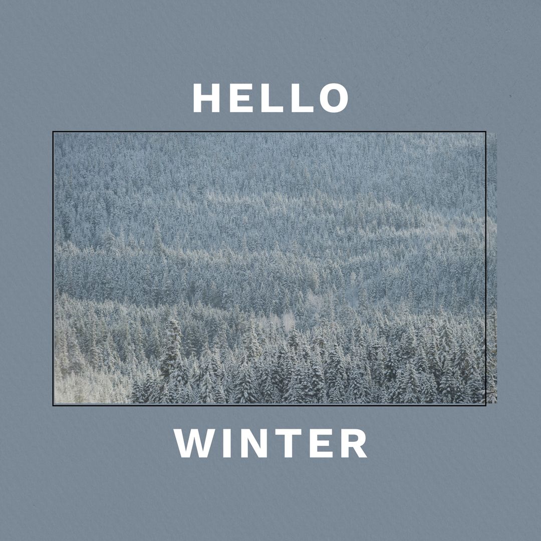 Winter Forest with Hello Winter Text Overlay Blue Background