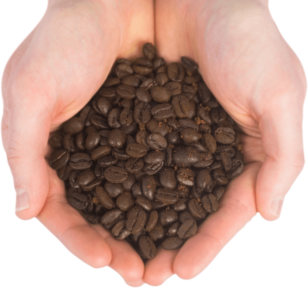 Hands Holding Coffee Beans Transparent Background