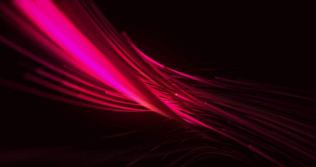 Dynamic Pink Light Trails on Powerfully Contrasting Background
