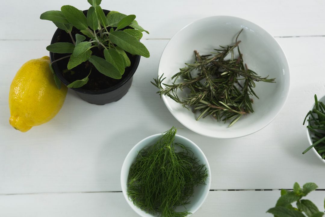 Fresh Herbs and Lemon on White Background - Free Images, Stock Photos and Pictures on Pikwizard.com