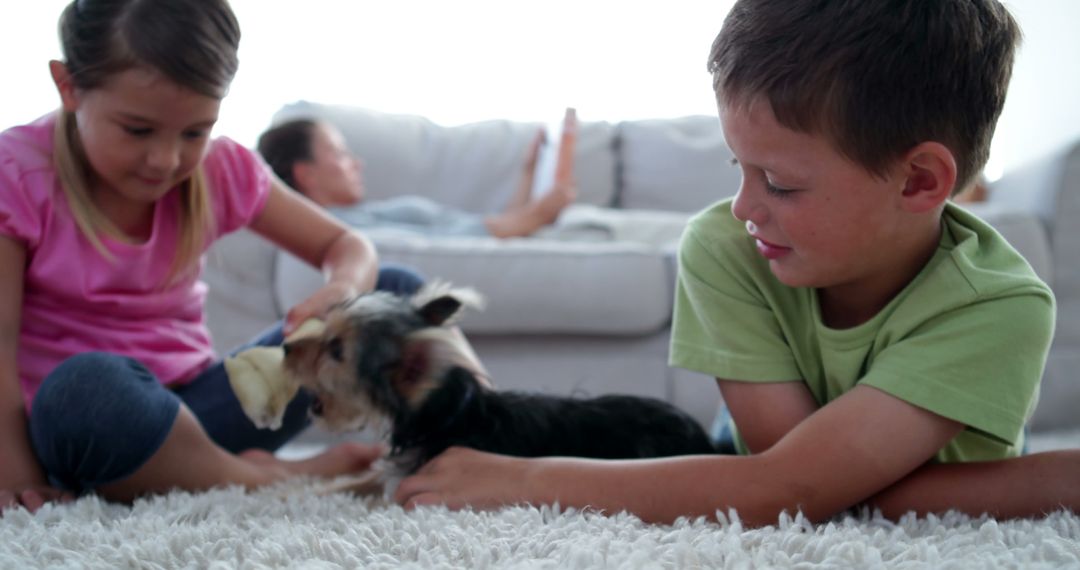 Children Playing with Small Dog on White Carpet in Living Room - Free Images, Stock Photos and Pictures on Pikwizard.com