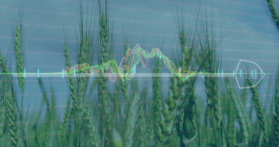 Wheat Field with Overlay of Data Analytics and Graphs