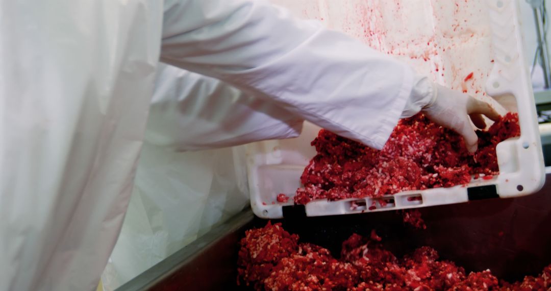 Butchers Handling Fresh Minced Meat in White Container - Free Images, Stock Photos and Pictures on Pikwizard.com