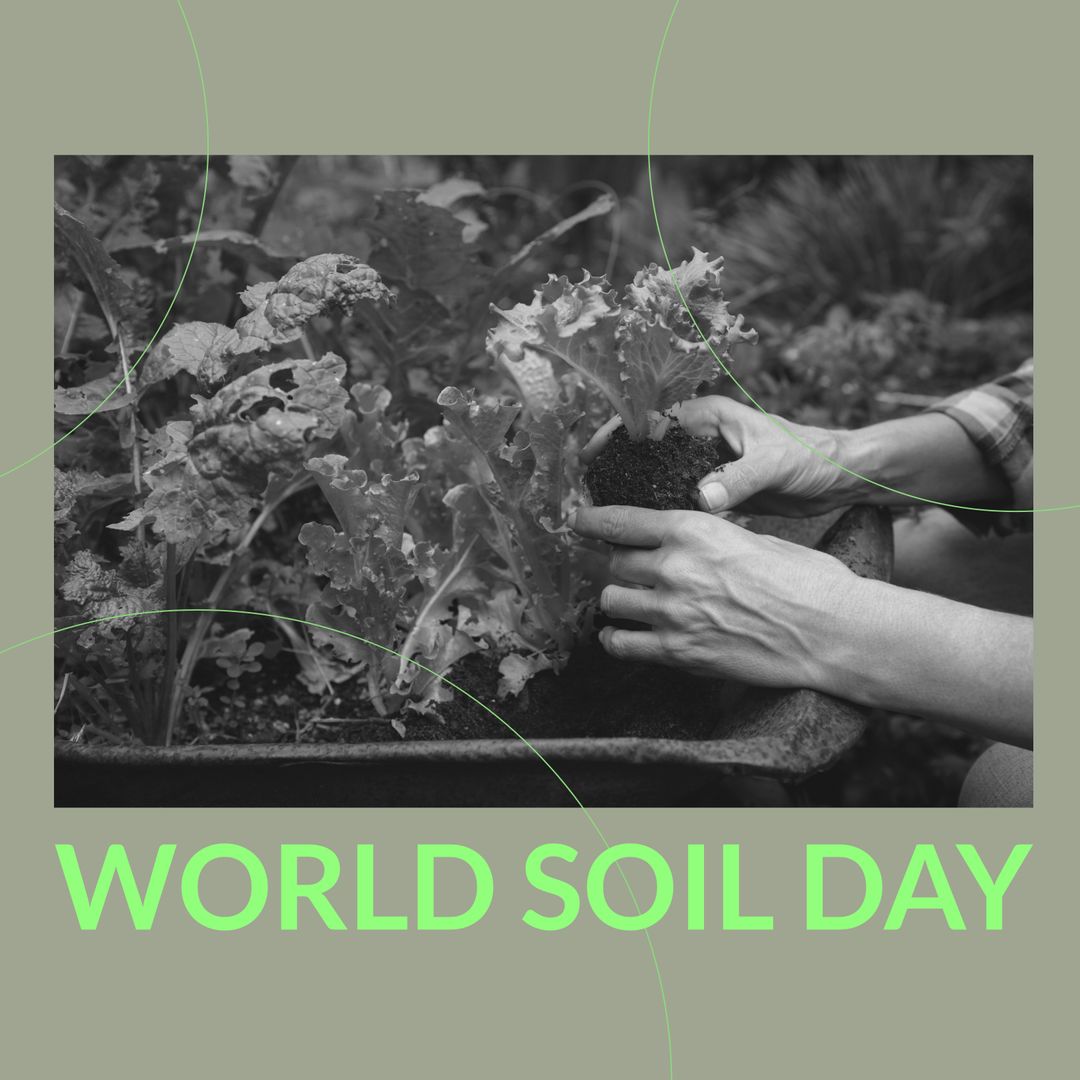 Hands Nurturing Plant for World Soil Day Celebration