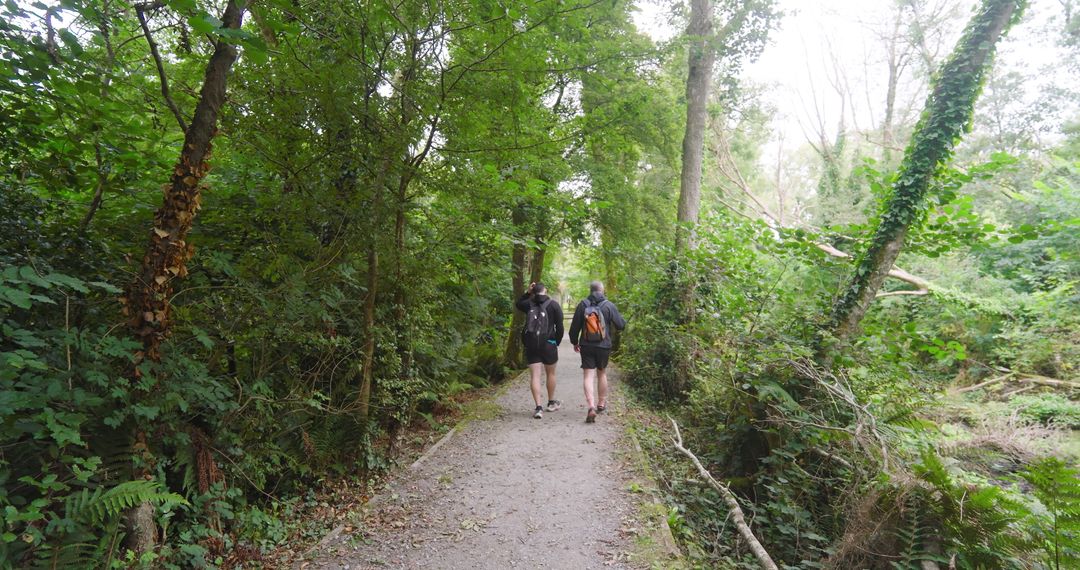 Two Friends Walking Forest Trail in Quiet Natural Area