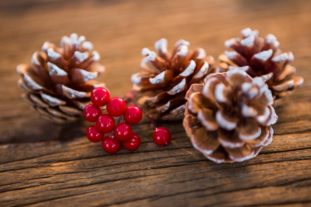Pine Cones with Red Berries on Wooden Surface - Free Images, Stock Photos and Pictures on Pikwizard.com