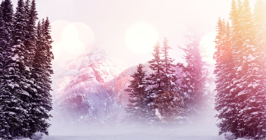Mystical Winter Landscape with Snowy Fir Forest